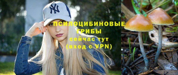 бошки Арсеньев